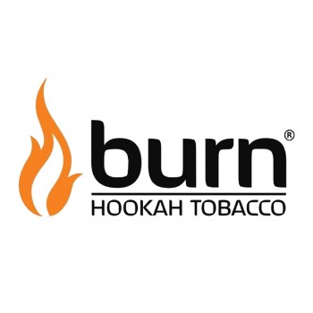 burn_Монтажная_область_1