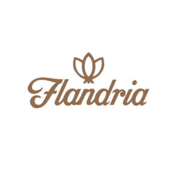 flandria-1-1