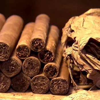 honduran-cigars-ciudad-de-mexico-mexico-august-widely-considered-some-finest-handmade-world-587213729