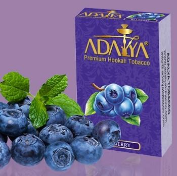 636589648388651243-blueberry.800x600