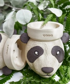 panda1